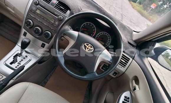 ซื้อ รถมือสอง Toyota Corolla อื่น ๆ รถยนต์ ใน %{เมือง} ใน กรุงเทพมหานคร ซื้อ รถมือสอง Toyota Corolla อื่น ๆ รถยนต์ ใน %{เมือง} ใน กรุงเทพมหานคร