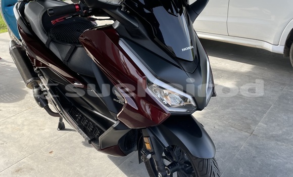 Buy Used Honda Forza Red Bike in Chumphon in Chumphon Buy Used Honda Forza Red Bike in Chumphon in Chumphon
