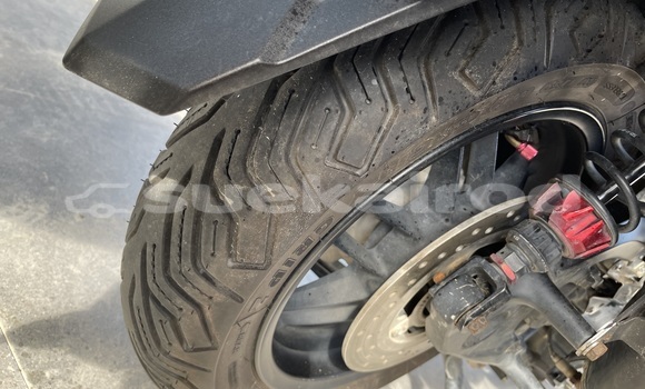 Buy Used Honda Forza Red Bike in Chumphon in Chumphon Buy Used Honda Forza Red Bike in Chumphon in Chumphon