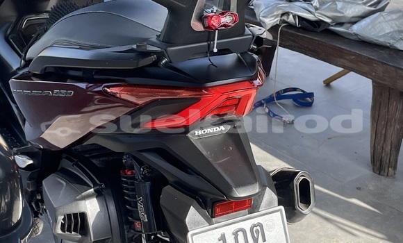 Buy Used Honda Forza Red Bike in Chumphon in Chumphon Buy Used Honda Forza Red Bike in Chumphon in Chumphon