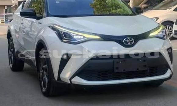 Buy Used Toyota C-HR White Car in Bangkok in Bangkok Buy Used Toyota C-HR White Car in Bangkok in Bangkok