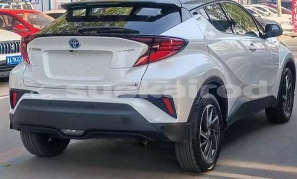 Buy Used Toyota C-HR White Car in Bangkok in Bangkok Buy Used Toyota C-HR White Car in Bangkok in Bangkok