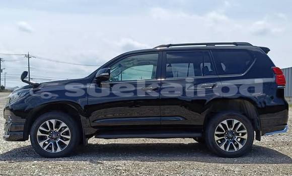 Buy Used Toyota Land Cruiser Prado Black Car in Bangkok in Bangkok Buy Used Toyota Land Cruiser Prado Black Car in Bangkok in Bangkok