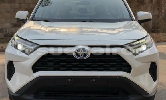 Buy Used Toyota RAV4 White Car in Bangkok in Bangkok