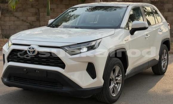 Buy Used Toyota RAV4 White Car in Bangkok in Bangkok Buy Used Toyota RAV4 White Car in Bangkok in Bangkok