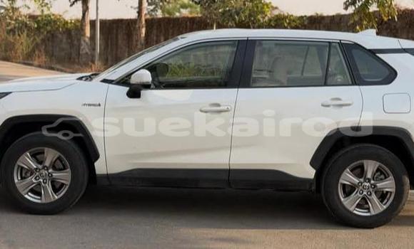 Buy Used Toyota RAV4 White Car in Bangkok in Bangkok Buy Used Toyota RAV4 White Car in Bangkok in Bangkok