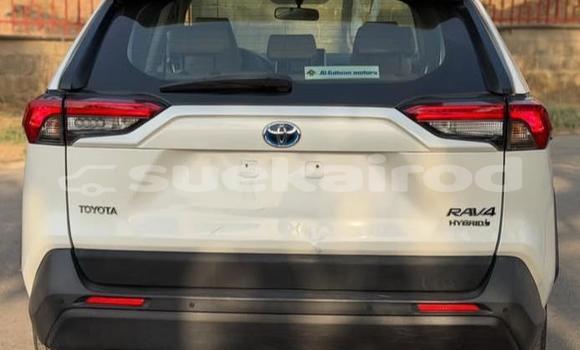 Buy Used Toyota RAV4 White Car in Bangkok in Bangkok Buy Used Toyota RAV4 White Car in Bangkok in Bangkok