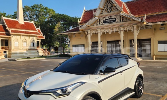 Buy Used Toyota C-HR White Car in Phuket in Phuket