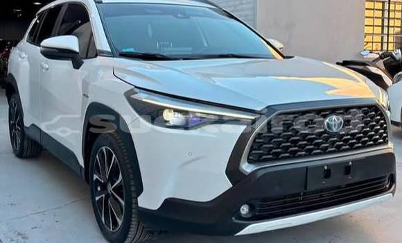 ซื้อ รถมือสอง Toyota Corolla Cross ขาว รถยนต์ ใน %{เมือง} ใน กรุงเทพมหานคร ซื้อ รถมือสอง Toyota Corolla Cross ขาว รถยนต์ ใน %{เมือง} ใน กรุงเทพมหานคร