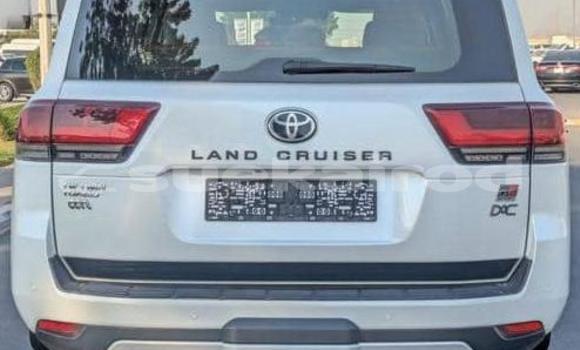 ซื้อ รถมือสอง Toyota Land Cruiser ขาว รถยนต์ ใน %{เมือง} ใน กรุงเทพมหานคร ซื้อ รถมือสอง Toyota Land Cruiser ขาว รถยนต์ ใน %{เมือง} ใน กรุงเทพมหานคร