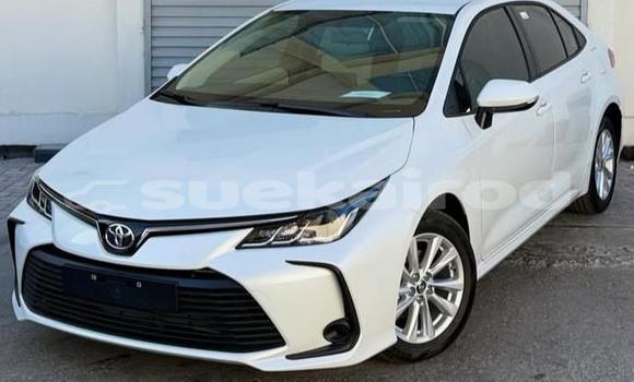 Buy Used Toyota Corolla White Car in Bangkok in Bangkok
