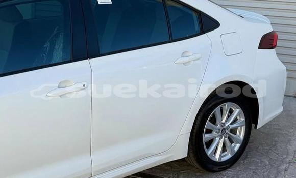 ซื้อ รถมือสอง Toyota Corolla ขาว รถยนต์ ใน %{เมือง} ใน กรุงเทพมหานคร ซื้อ รถมือสอง Toyota Corolla ขาว รถยนต์ ใน %{เมือง} ใน กรุงเทพมหานคร