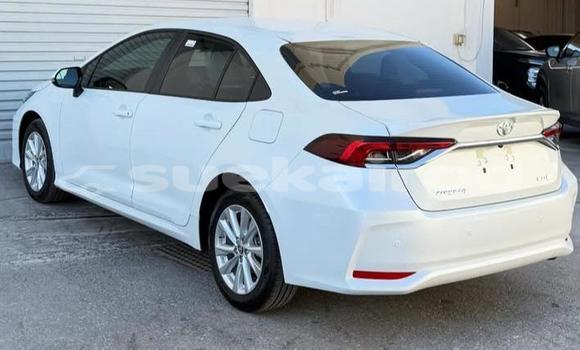 ซื้อ รถมือสอง Toyota Corolla ขาว รถยนต์ ใน %{เมือง} ใน กรุงเทพมหานคร ซื้อ รถมือสอง Toyota Corolla ขาว รถยนต์ ใน %{เมือง} ใน กรุงเทพมหานคร