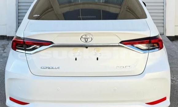 ซื้อ รถมือสอง Toyota Corolla ขาว รถยนต์ ใน %{เมือง} ใน กรุงเทพมหานคร ซื้อ รถมือสอง Toyota Corolla ขาว รถยนต์ ใน %{เมือง} ใน กรุงเทพมหานคร