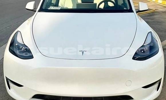 Buy Used Tesla Model X White Car in Bangkok in Bangkok