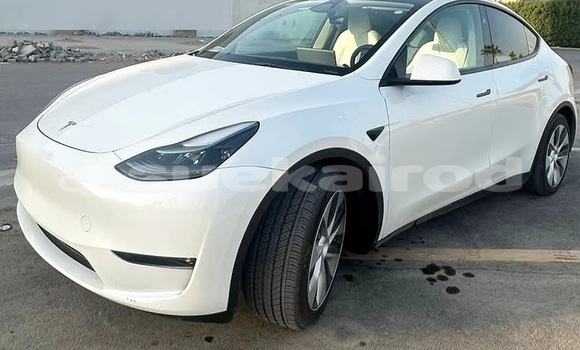 ซื้อ รถมือสอง Tesla Model X ขาว รถยนต์ ใน %{เมือง} ใน กรุงเทพมหานคร ซื้อ รถมือสอง Tesla Model X ขาว รถยนต์ ใน %{เมือง} ใน กรุงเทพมหานคร