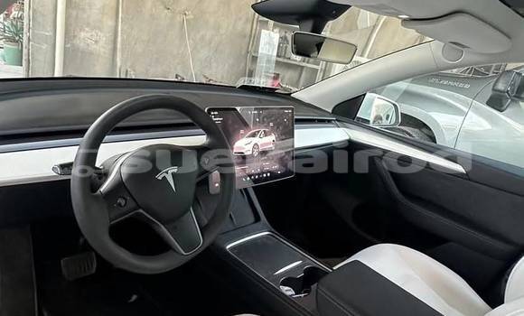 ซื้อ รถมือสอง Tesla Model X ขาว รถยนต์ ใน %{เมือง} ใน กรุงเทพมหานคร ซื้อ รถมือสอง Tesla Model X ขาว รถยนต์ ใน %{เมือง} ใน กรุงเทพมหานคร