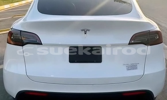 ซื้อ รถมือสอง Tesla Model X ขาว รถยนต์ ใน %{เมือง} ใน กรุงเทพมหานคร ซื้อ รถมือสอง Tesla Model X ขาว รถยนต์ ใน %{เมือง} ใน กรุงเทพมหานคร