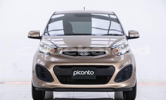 ซื้อ รถมือสอง Kia Picanto สีน้ำตาล รถยนต์ ใน %{เมือง} ใน กรุงเทพมหานคร ซื้อ รถมือสอง Kia Picanto สีน้ำตาล รถยนต์ ใน %{เมือง} ใน กรุงเทพมหานคร