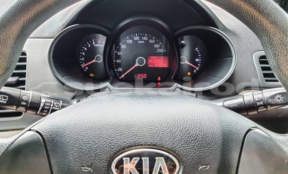 Buy Used Kia Picanto Red Car in Bangkok in Bangkok Buy Used Kia Picanto Red Car in Bangkok in Bangkok