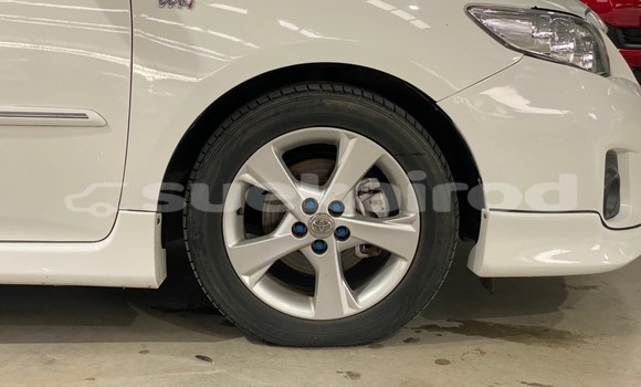 ซื้อ รถมือสอง Toyota Altis ขาว รถยนต์ ใน %{เมือง} ใน กรุงเทพมหานคร ซื้อ รถมือสอง Toyota Altis ขาว รถยนต์ ใน %{เมือง} ใน กรุงเทพมหานคร