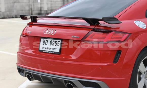 ซื้อ รถมือสอง Audi TT สีแดง รถยนต์ ใน %{เมือง} ใน กรุงเทพมหานคร ซื้อ รถมือสอง Audi TT สีแดง รถยนต์ ใน %{เมือง} ใน กรุงเทพมหานคร
