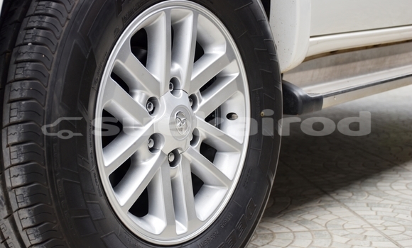 Buy Used Toyota Hiluxe VIGO White Car in Yasothon in Yasothon Buy Used Toyota Hiluxe VIGO White Car in Yasothon in Yasothon