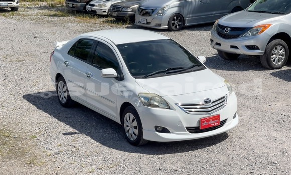 Buy Used Toyota Vios White Car in Surat Thani in Surat Thani Buy Used Toyota Vios White Car in Surat Thani in Surat Thani