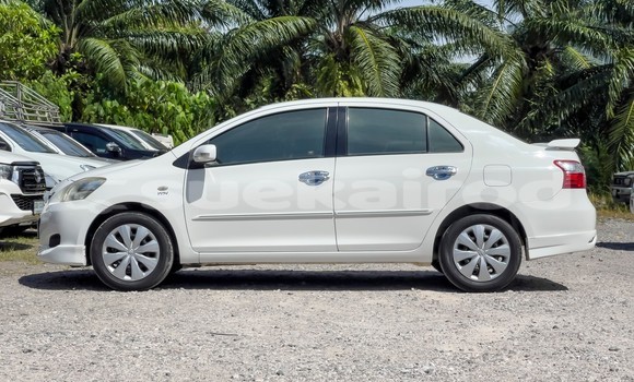 Buy Used Toyota Vios White Car in Surat Thani in Surat Thani Buy Used Toyota Vios White Car in Surat Thani in Surat Thani