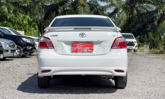 Buy Used Toyota Vios White Car in Surat Thani in Surat Thani Buy Used Toyota Vios White Car in Surat Thani in Surat Thani