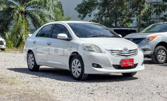 Buy Used Toyota Vios White Car in Surat Thani in Surat Thani Buy Used Toyota Vios White Car in Surat Thani in Surat Thani