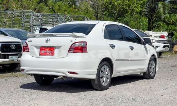 Buy Used Toyota Vios White Car in Surat Thani in Surat Thani Buy Used Toyota Vios White Car in Surat Thani in Surat Thani