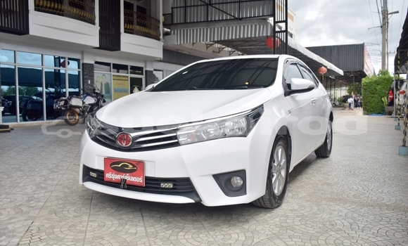Buy Used Toyota Corolla Altis White Car in Bangkok in Bangkok