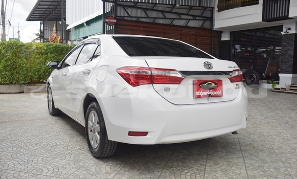 ซื้อ รถมือสอง Toyota Corolla Altis ขาว รถยนต์ ใน %{เมือง} ใน กรุงเทพมหานคร ซื้อ รถมือสอง Toyota Corolla Altis ขาว รถยนต์ ใน %{เมือง} ใน กรุงเทพมหานคร