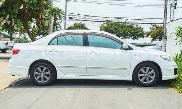 Buy Used Toyota Altis White Car in Bangkok in Bangkok Buy Used Toyota Altis White Car in Bangkok in Bangkok
