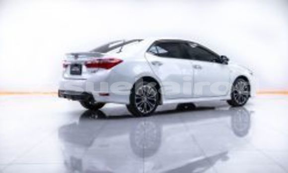 Buy Used Toyota Altis White Car in Bangkok in Bangkok Buy Used Toyota Altis White Car in Bangkok in Bangkok