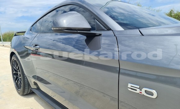 ซื้อ รถมือสอง Ford Mustang อื่น ๆ รถยนต์ ใน %{เมือง} ใน กรุงเทพมหานคร ซื้อ รถมือสอง Ford Mustang อื่น ๆ รถยนต์ ใน %{เมือง} ใน กรุงเทพมหานคร