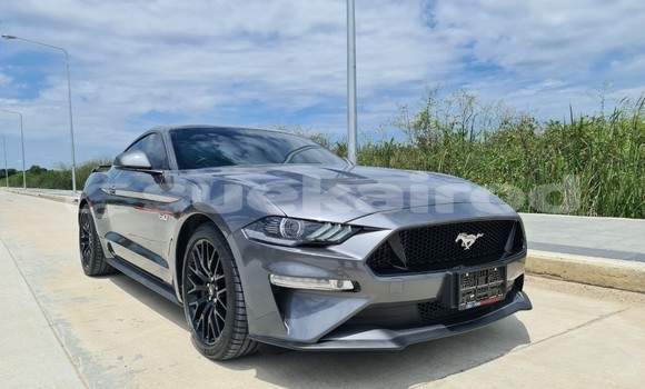 ซื้อ รถมือสอง Ford Mustang อื่น ๆ รถยนต์ ใน %{เมือง} ใน กรุงเทพมหานคร ซื้อ รถมือสอง Ford Mustang อื่น ๆ รถยนต์ ใน %{เมือง} ใน กรุงเทพมหานคร