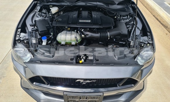 ซื้อ รถมือสอง Ford Mustang อื่น ๆ รถยนต์ ใน %{เมือง} ใน กรุงเทพมหานคร ซื้อ รถมือสอง Ford Mustang อื่น ๆ รถยนต์ ใน %{เมือง} ใน กรุงเทพมหานคร