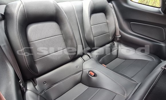 ซื้อ รถมือสอง Ford Mustang อื่น ๆ รถยนต์ ใน %{เมือง} ใน กรุงเทพมหานคร ซื้อ รถมือสอง Ford Mustang อื่น ๆ รถยนต์ ใน %{เมือง} ใน กรุงเทพมหานคร