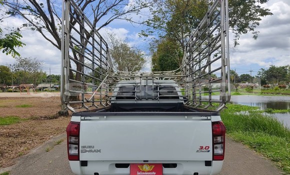 ซื้อ รถมือสอง Isuzu D-Max ขาว รถยนต์ ใน %{เมือง} ใน กรุงเทพมหานคร ซื้อ รถมือสอง Isuzu D-Max ขาว รถยนต์ ใน %{เมือง} ใน กรุงเทพมหานคร