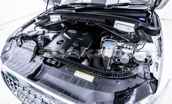 ซื้อ รถมือสอง Audi Q5 ขาว รถยนต์ ใน %{เมือง} ใน กรุงเทพมหานคร ซื้อ รถมือสอง Audi Q5 ขาว รถยนต์ ใน %{เมือง} ใน กรุงเทพมหานคร