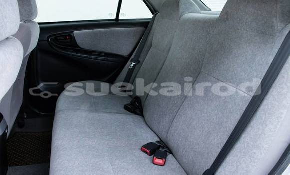 Buy Used Toyota Vios Other Car in Bangkok in Bangkok Buy Used Toyota Vios Other Car in Bangkok in Bangkok