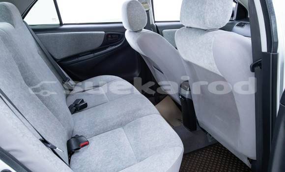 Buy Used Toyota Vios Other Car in Bangkok in Bangkok Buy Used Toyota Vios Other Car in Bangkok in Bangkok