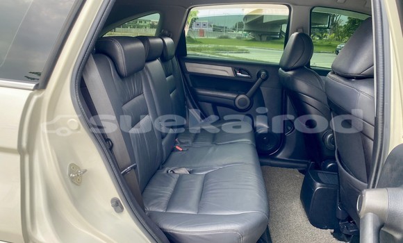 ซื้อ รถมือสอง Honda CR–V ขาว รถยนต์ ใน %{เมือง} ใน กรุงเทพมหานคร ซื้อ รถมือสอง Honda CR–V ขาว รถยนต์ ใน %{เมือง} ใน กรุงเทพมหานคร