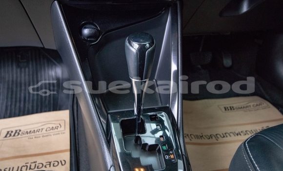 Buy Used Toyota Vios Other Car in Bangkok in Bangkok Buy Used Toyota Vios Other Car in Bangkok in Bangkok