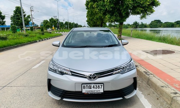 ซื้อ รถมือสอง Toyota Corolla Altis อื่น ๆ รถยนต์ ใน %{เมือง} ใน กรุงเทพมหานคร ซื้อ รถมือสอง Toyota Corolla Altis อื่น ๆ รถยนต์ ใน %{เมือง} ใน กรุงเทพมหานคร