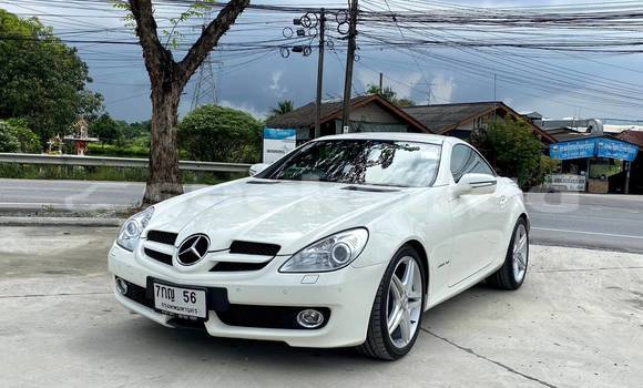 Buy Used Mercedes-Benz SLK-klasse AMG White Car in Bangkok in Bangkok