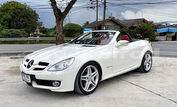 ซื้อ รถมือสอง Mercedes-Benz SLK-klasse AMG ขาว รถยนต์ ใน %{เมือง} ใน กรุงเทพมหานคร ซื้อ รถมือสอง Mercedes-Benz SLK-klasse AMG ขาว รถยนต์ ใน %{เมือง} ใน กรุงเทพมหานคร