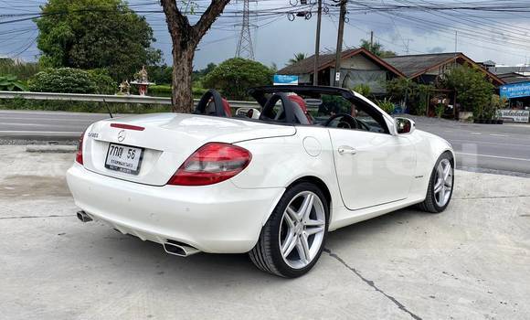 ซื้อ รถมือสอง Mercedes-Benz SLK-klasse AMG ขาว รถยนต์ ใน %{เมือง} ใน กรุงเทพมหานคร ซื้อ รถมือสอง Mercedes-Benz SLK-klasse AMG ขาว รถยนต์ ใน %{เมือง} ใน กรุงเทพมหานคร
